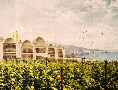 DIONISO WINERY